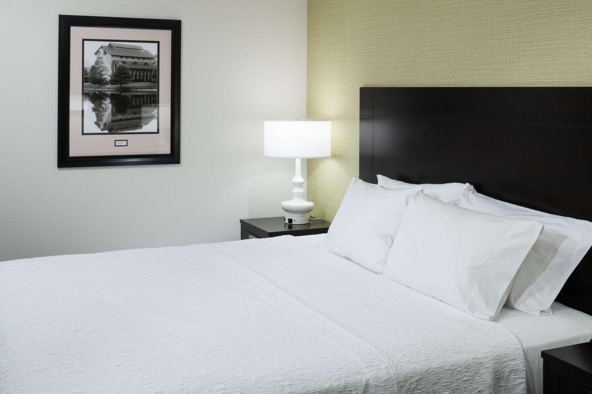 Hampton Inn & Suites Gainesville Downtown Eksteriør billede